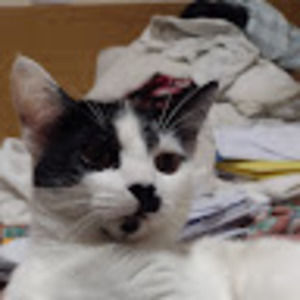 Meet your Posher, Nakia